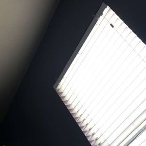 Meet your Posher, Bree